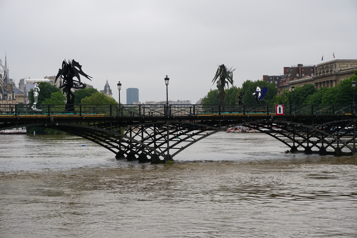 Picture France Paris Seine river 2016-06 28 - Land Seine river