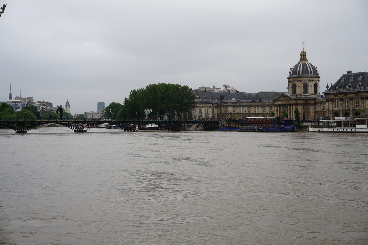 Picture France Paris Seine river 2016-06 10 - Price Seine river