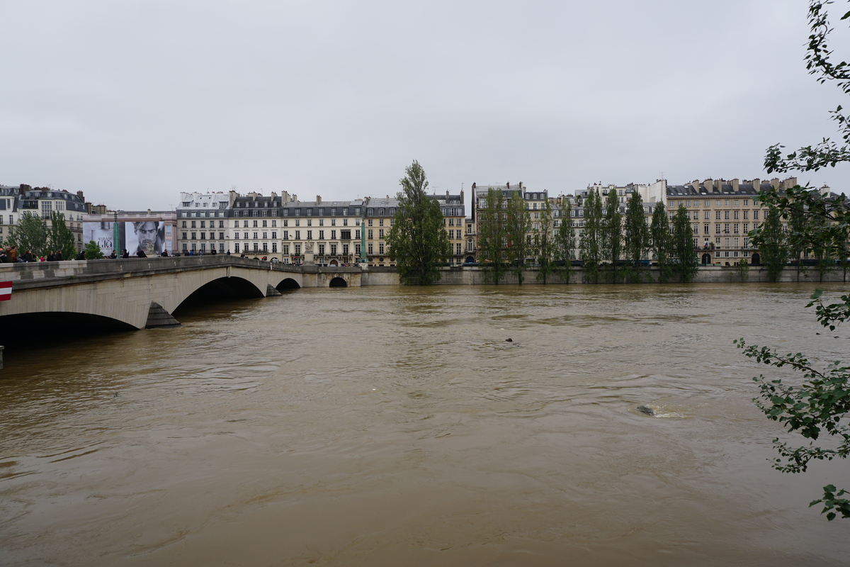 Picture France Paris Seine river 2016-06 14 - Hot Season Seine river