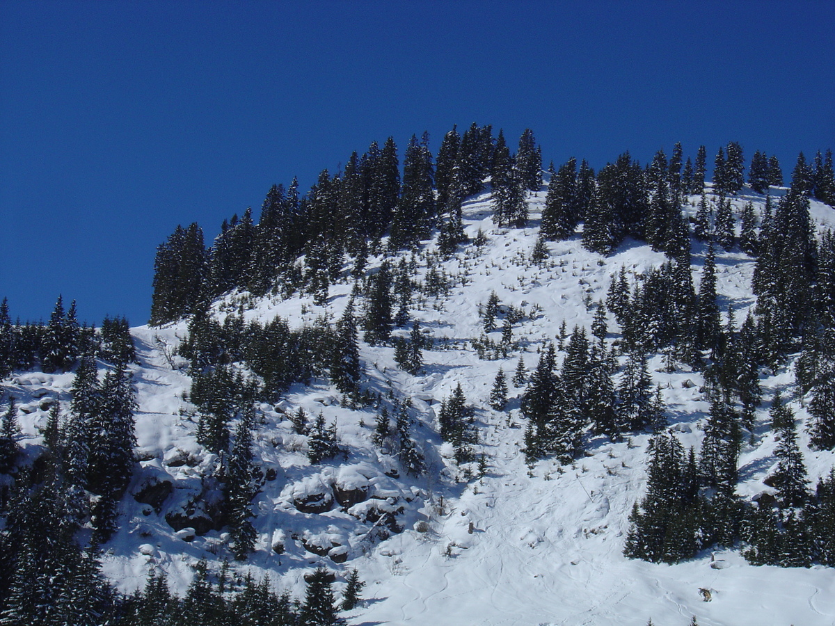 Picture Austria Kitzbuhel Ski 2005-03 64 - Lake Ski