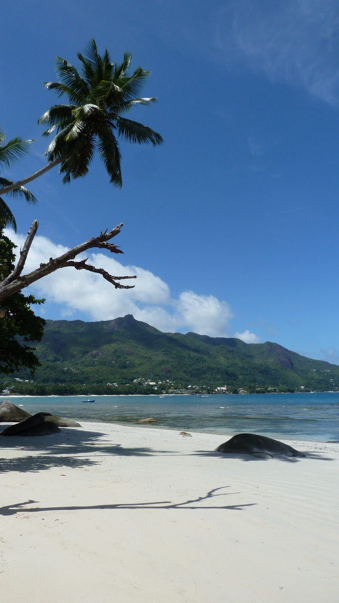 Picture Seychelles 2011-10 69 - Hotel Pool Seychelles