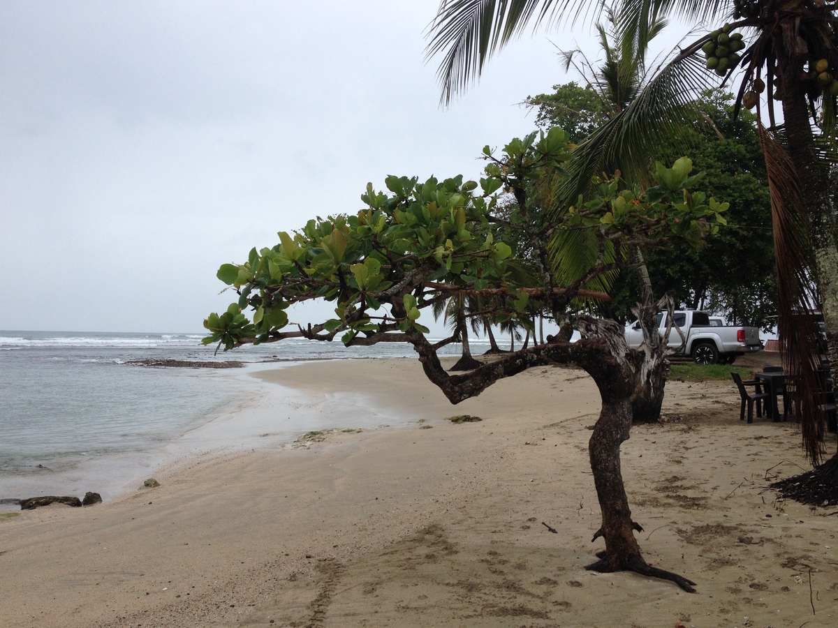 Picture Costa Rica Puerto Viejo de Talamanca 2015-03 113 - Saving Puerto Viejo de Talamanca