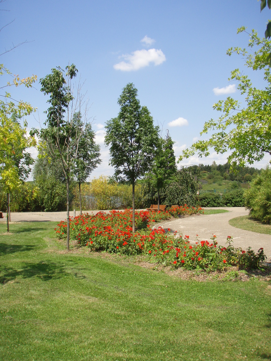 Picture France Villeneuve La Garenne Parc des Chanteraines 2007-07 1 - Rain Season Parc des Chanteraines