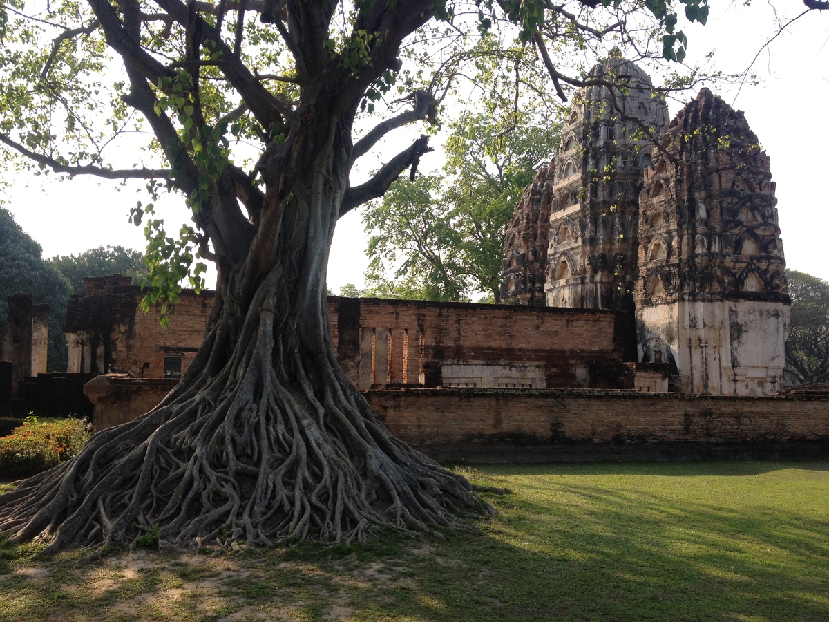 Picture Thailand Sukhothai 2014-02 30 - Shopping Sukhothai