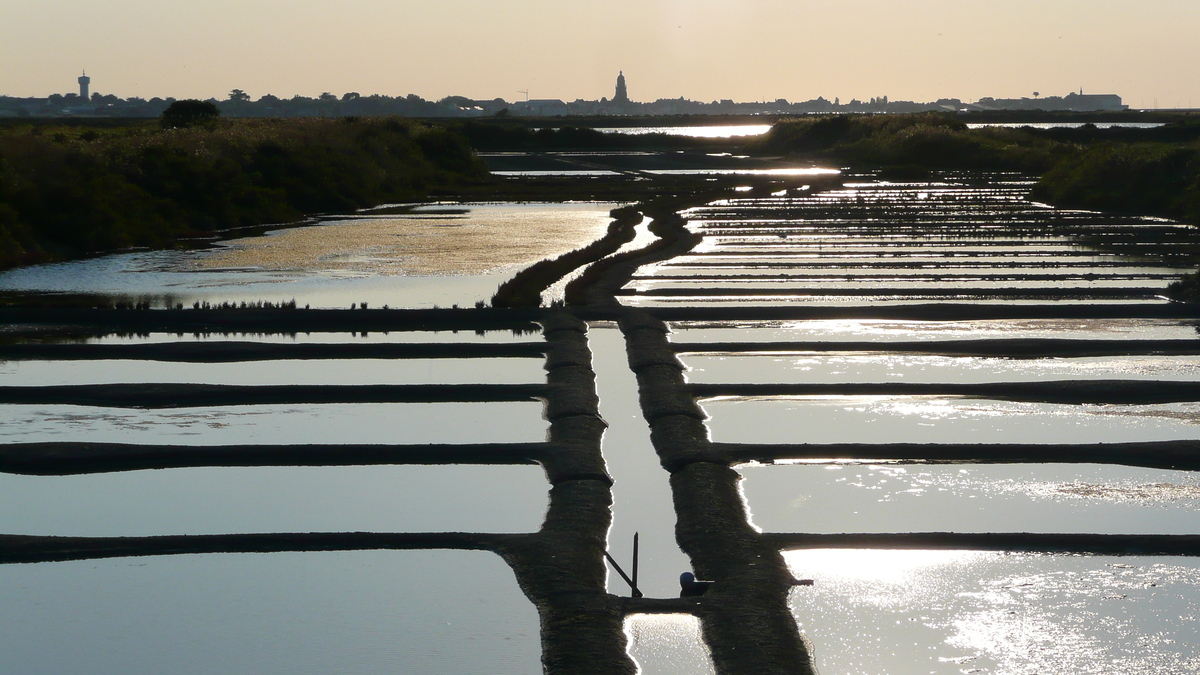 Picture France Guerande Les marais salants 2007-08 22 - Rain Season Les marais salants