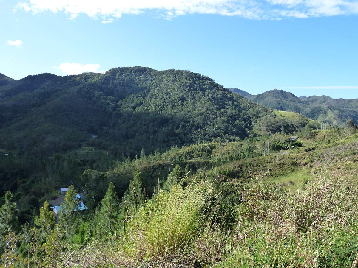 Picture New Caledonia Canala to La Foa road 2010-05 13 - Saving Canala to La Foa road