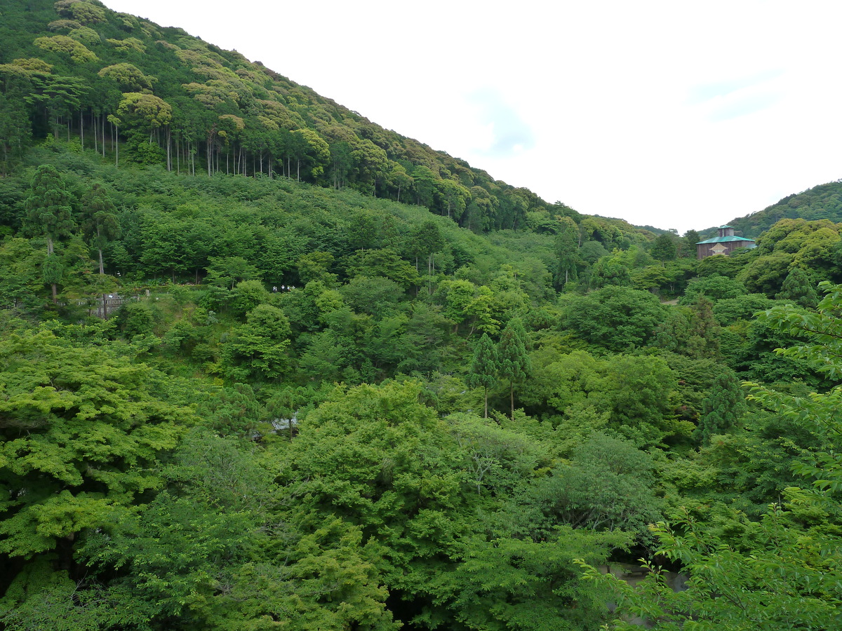 Picture Japan Kyoto Kiyomizu Dera Temple 2010-06 13 - Spring Kiyomizu Dera Temple