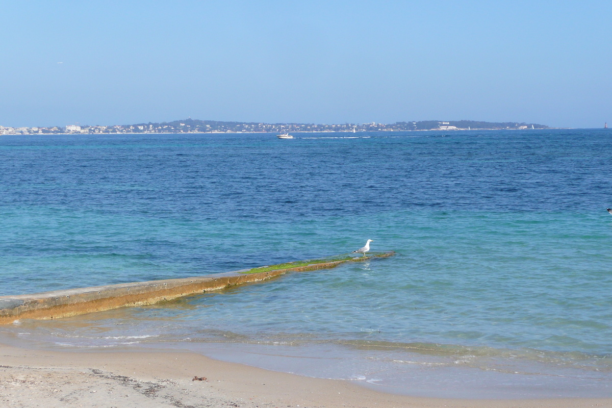 Picture France Cannes Plage Gazagnaire 2008-03 75 - Rental Plage Gazagnaire