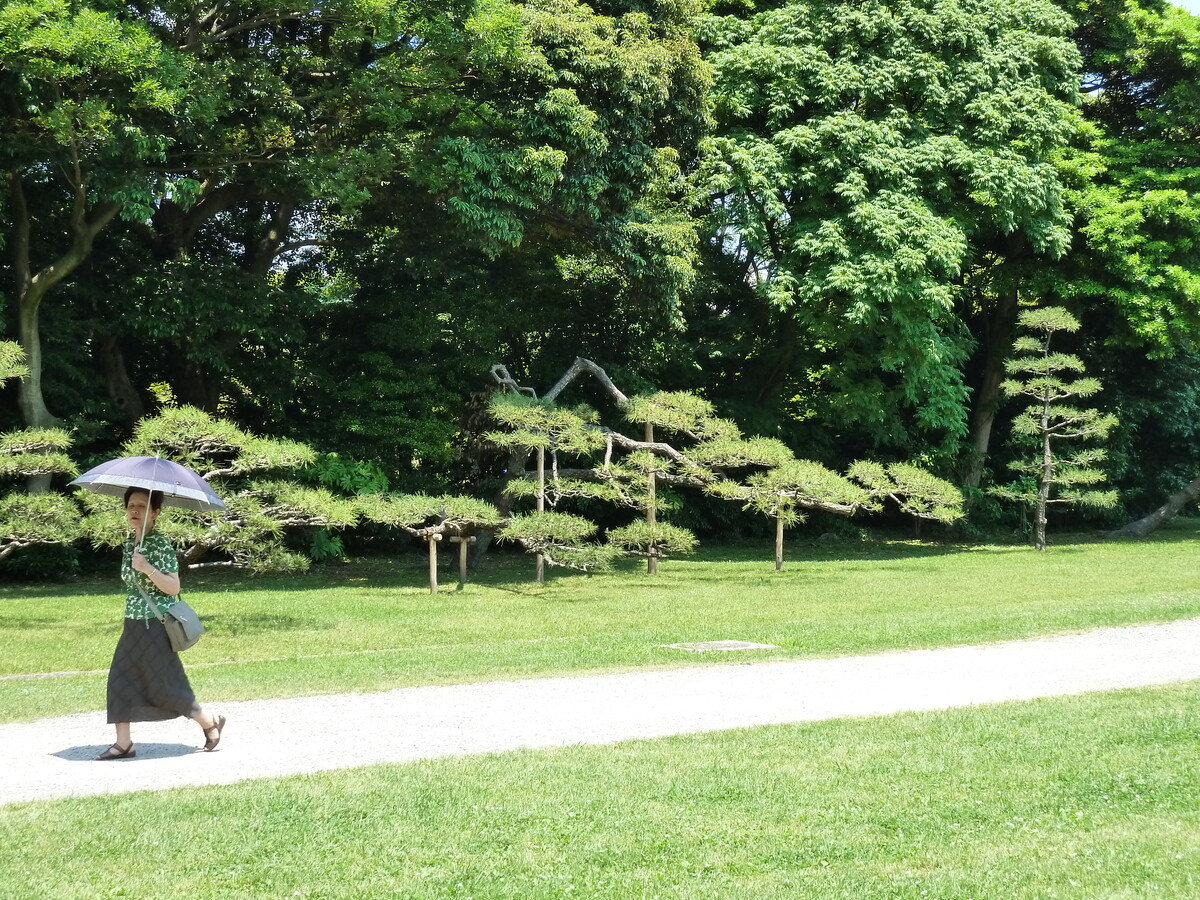 Picture Japan Tokyo Hama rikyu Gardens 2010-06 17 - Monument Hama rikyu Gardens