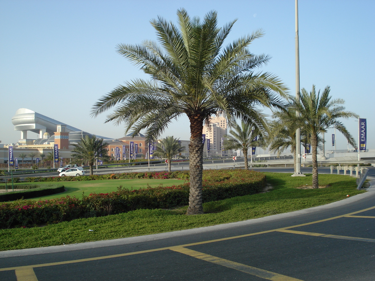 Picture United Arab Emirates Dubai 2007-03 18 - Restaurant Dubai