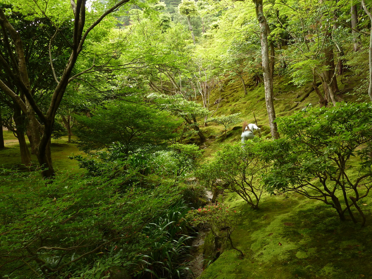 Picture Japan Kyoto Ginkakuji Temple(Silver Pavilion) 2010-06 79 - Spring Ginkakuji Temple(Silver Pavilion)