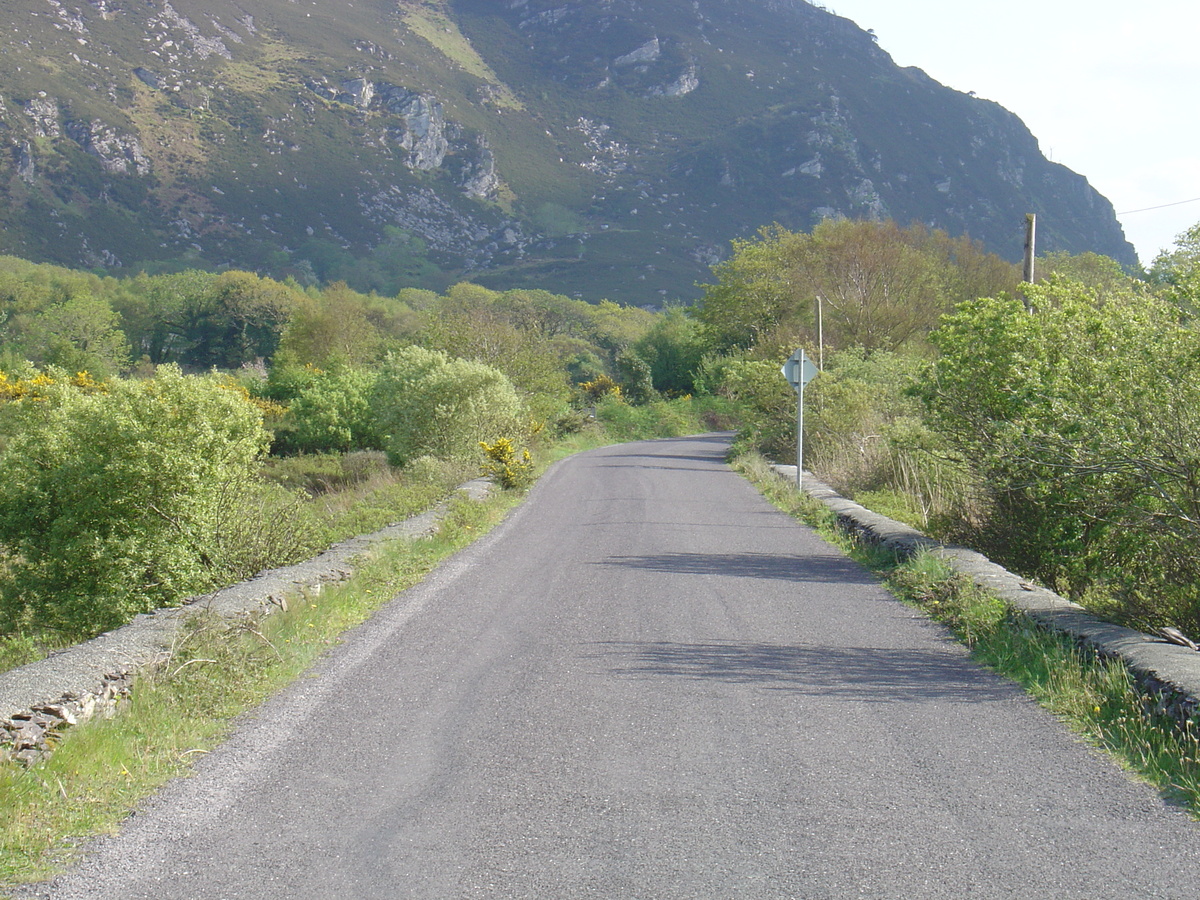 Picture Ireland Kerry Caragh Lake 2004-05 0 - Spring Caragh Lake