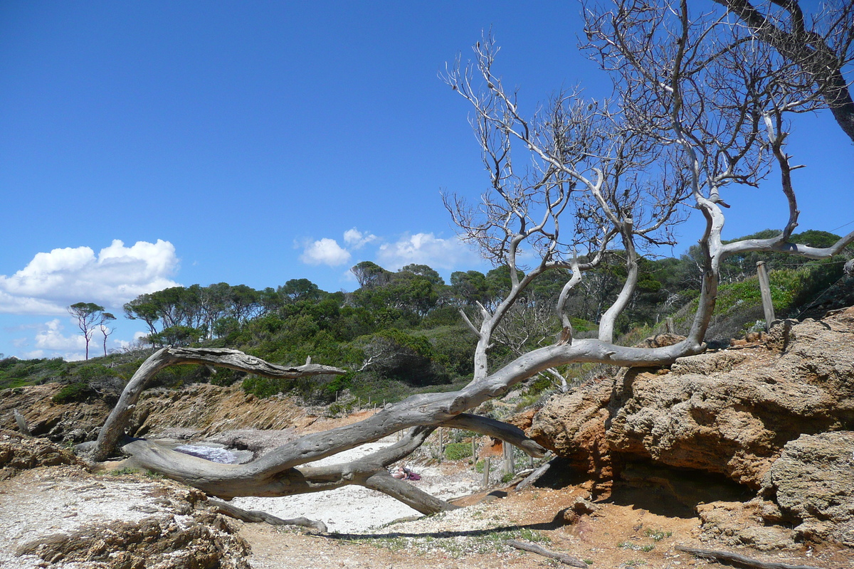 Picture France Porquerolles Island Lequin beach 2008-05 15 - Lands Lequin beach