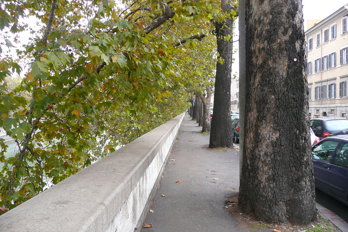 Picture Italy Rome Lungotevere Gianicolense 2007-11 26 - Land Lungotevere Gianicolense