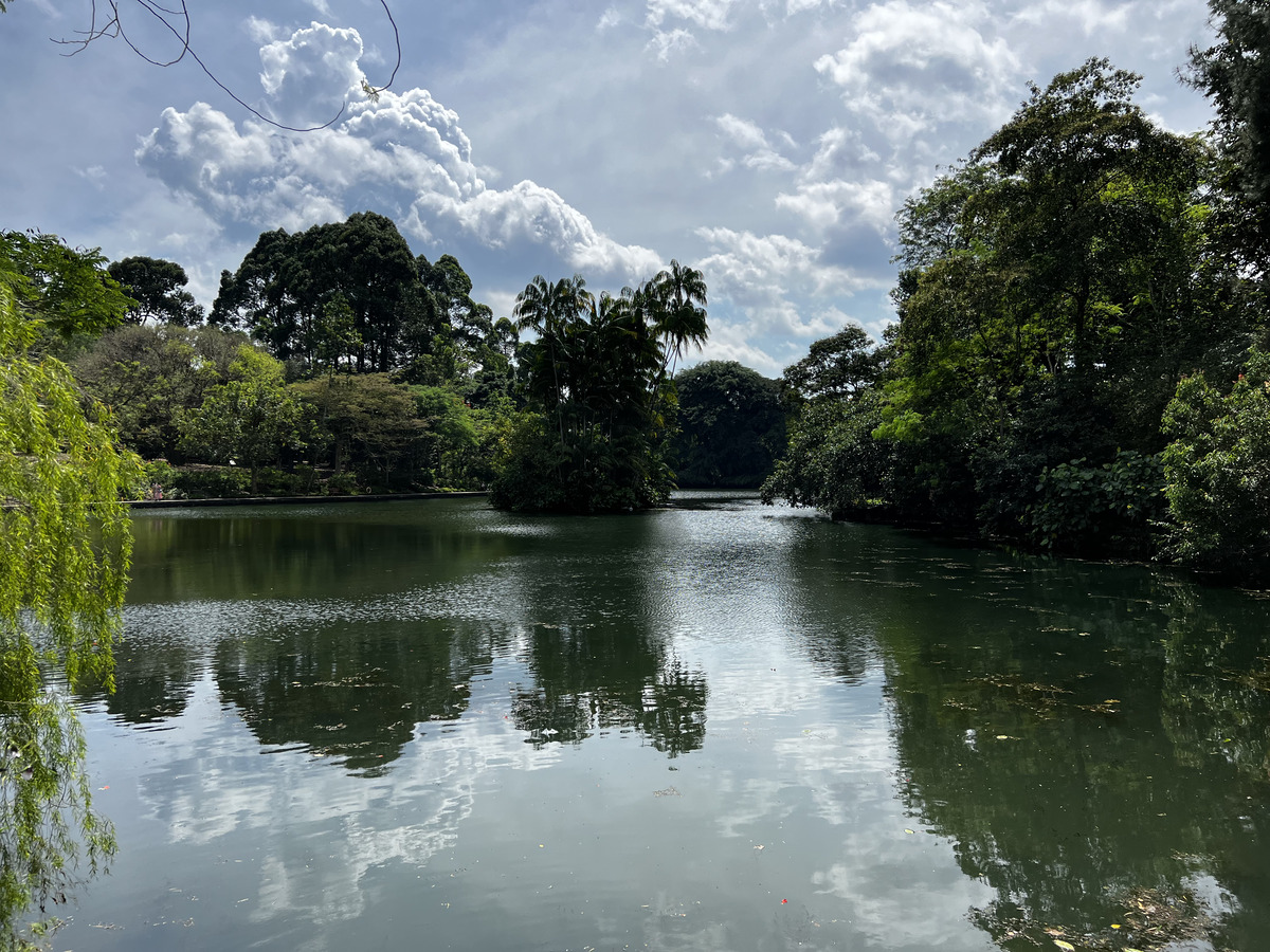 Picture Singapore Singapore Botanic Gardens 2023-01 13 - Lakes Singapore Botanic Gardens