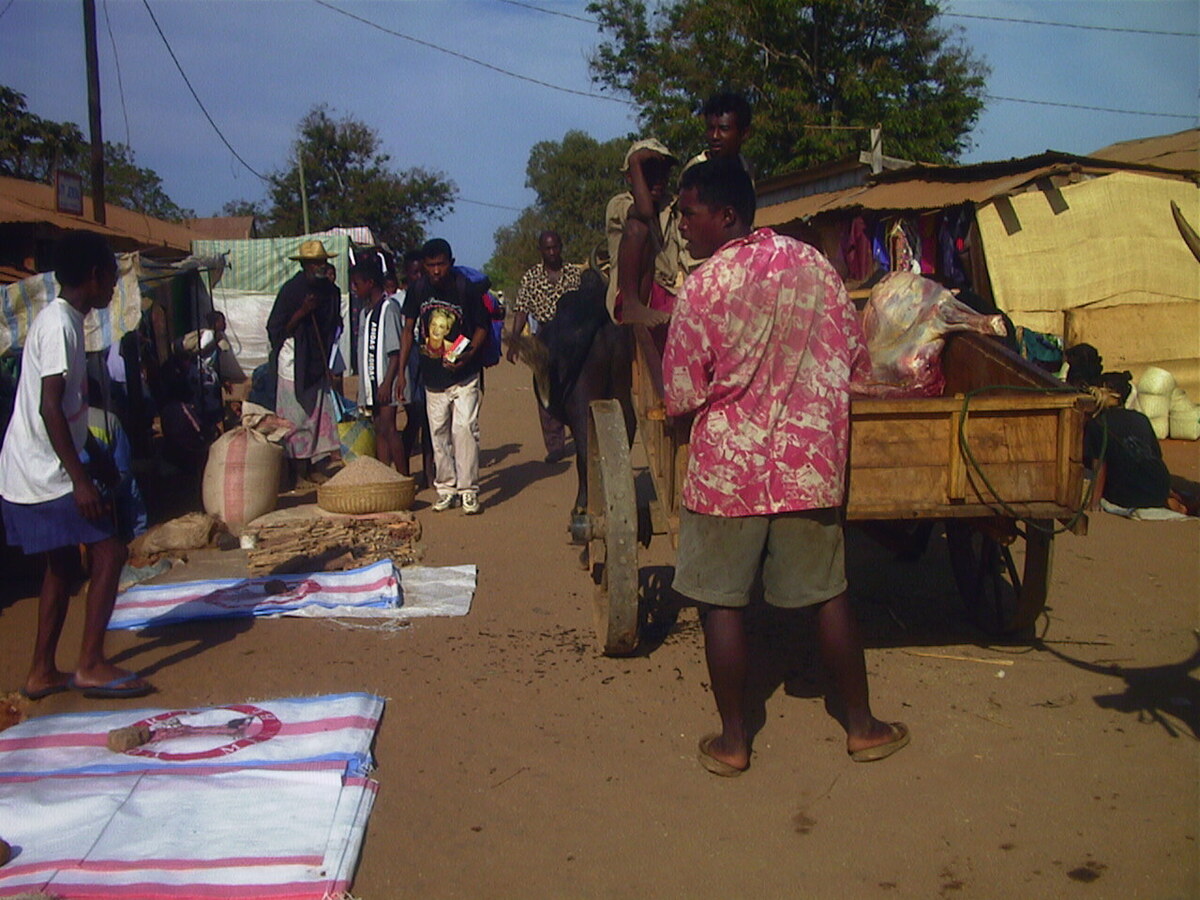 Picture Madagascar Belo 1999-10 6 - Cost Belo