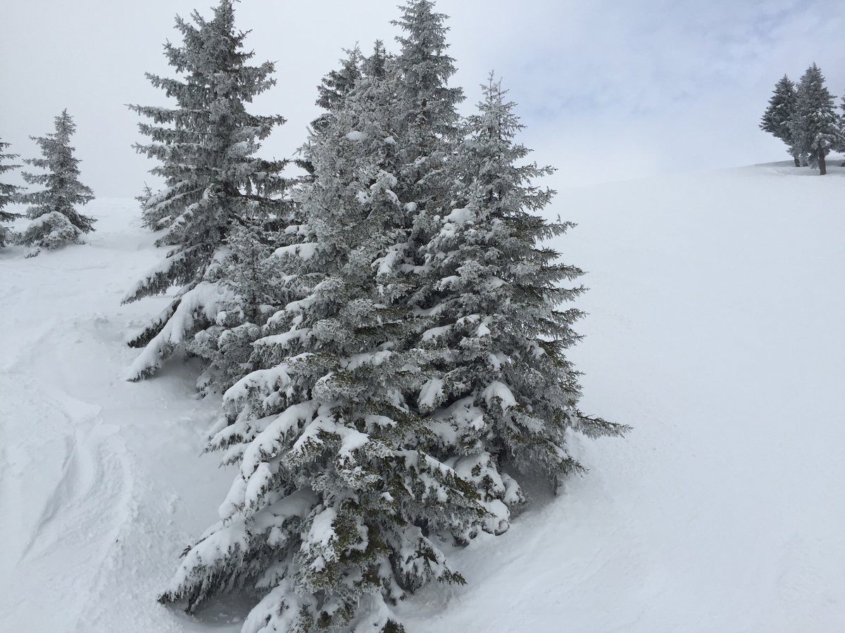 Picture France Megeve 2016-02 93 - Hotel Pool Megeve