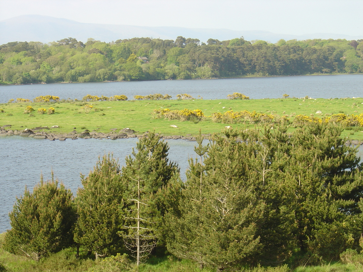 Picture Ireland Kerry Caragh Lake 2004-05 41 - Walking Street Caragh Lake