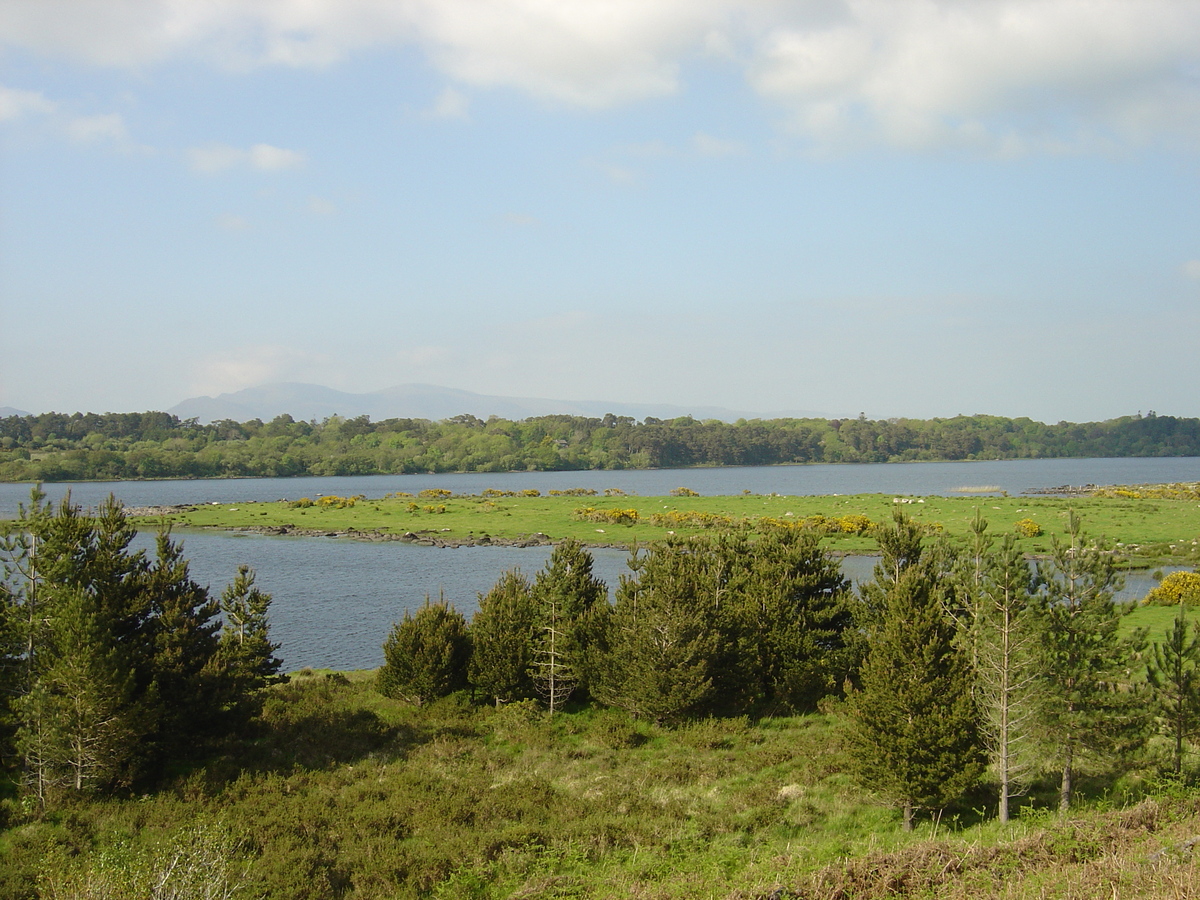 Picture Ireland Kerry Caragh Lake 2004-05 40 - City Caragh Lake