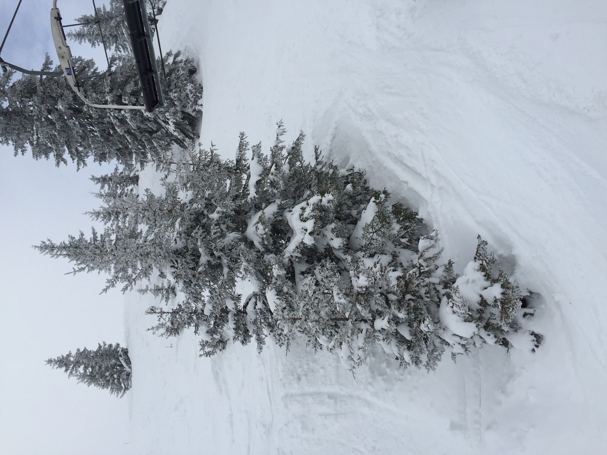 Picture France Megeve 2016-02 97 - Winter Megeve