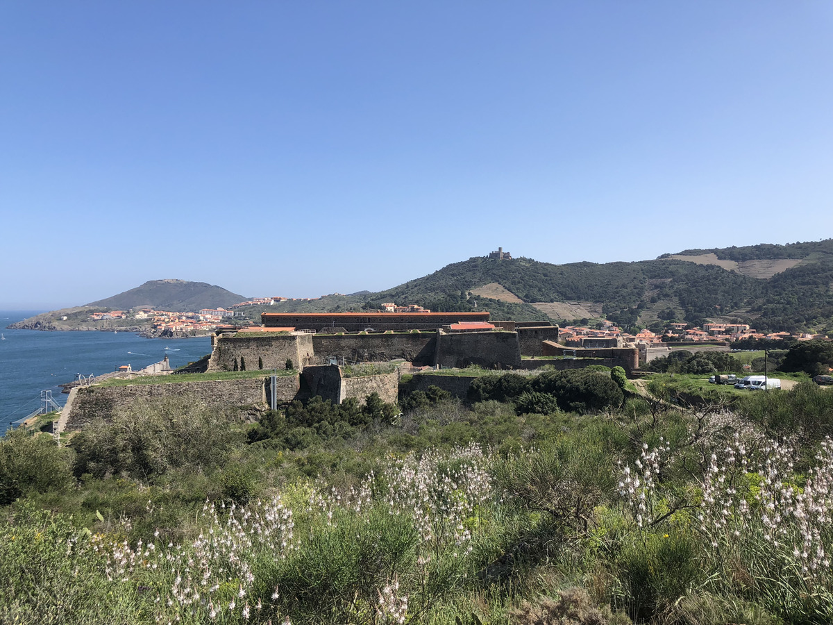 Picture France Collioure 2018-04 259 - Monuments Collioure