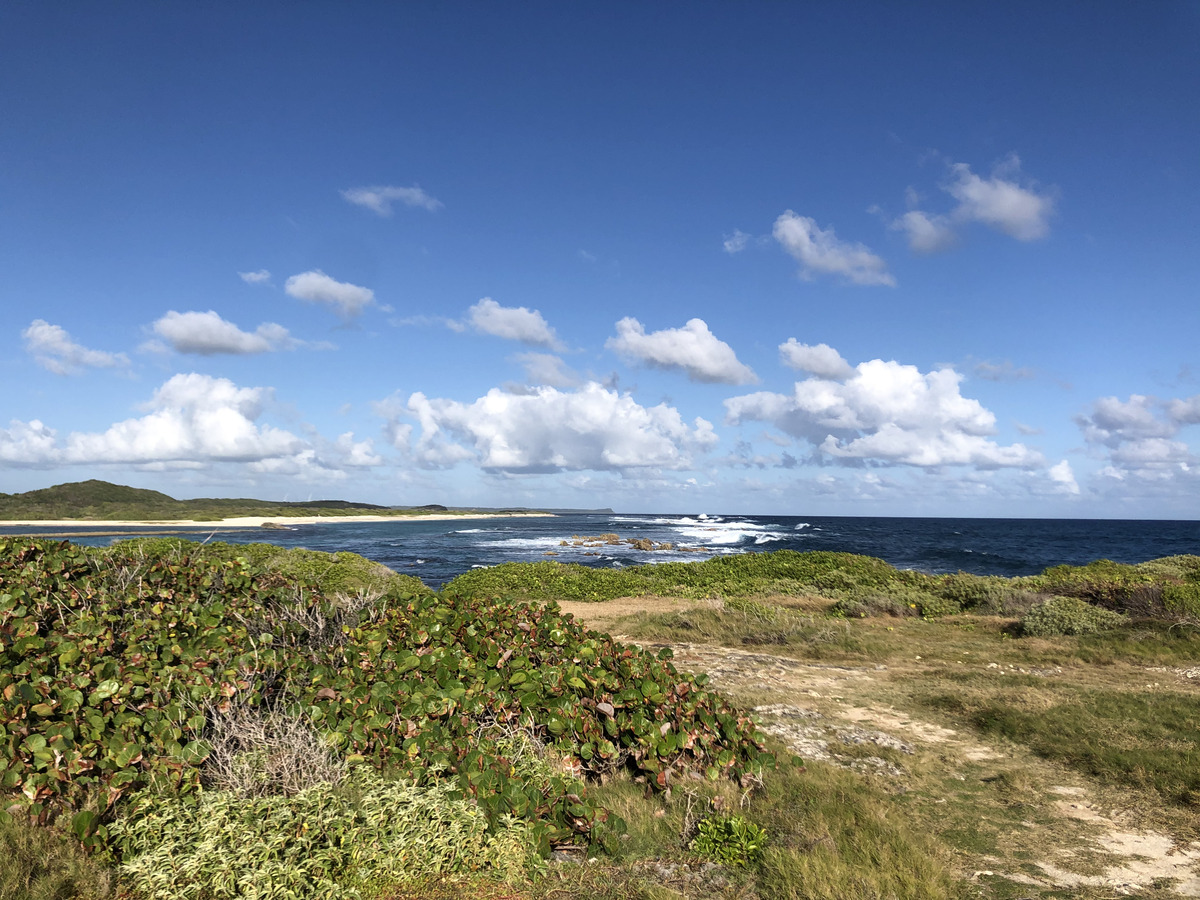 Picture Guadeloupe Castle Point 2021-02 157 - Land Castle Point