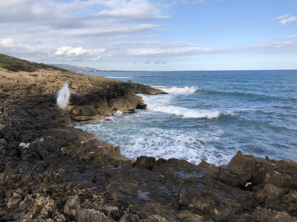 Picture Italy Sicily Noto 2020-02 51 - Spring Noto