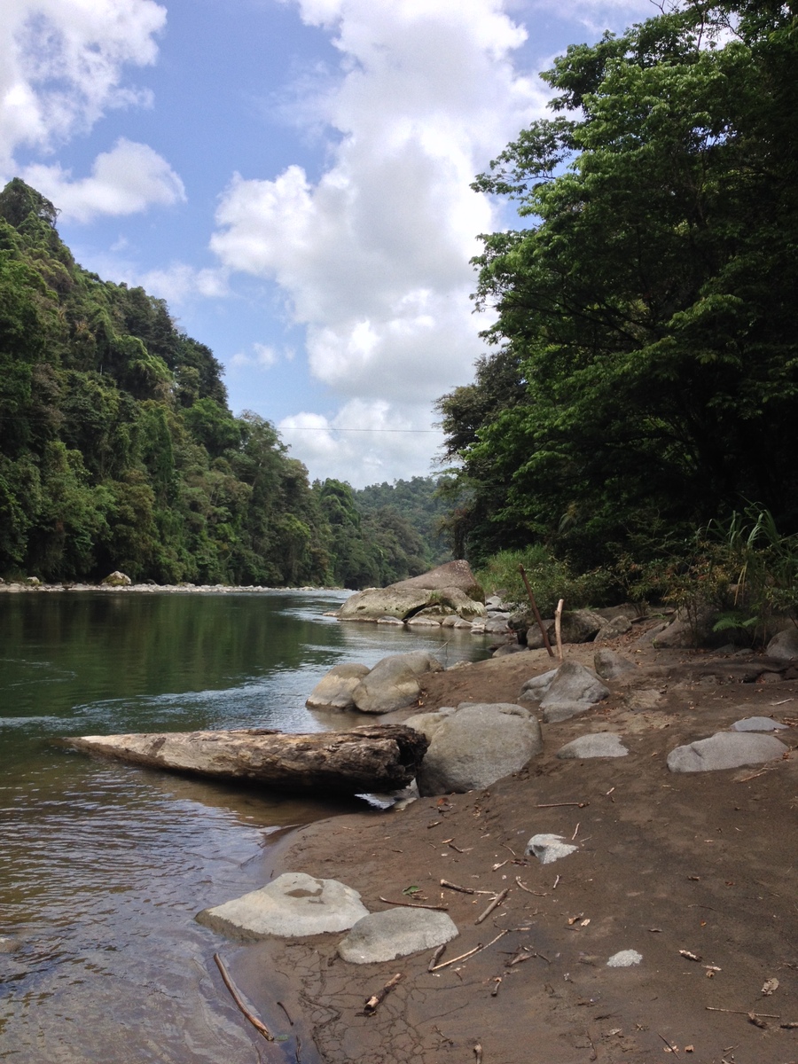 Picture Costa Rica Pacuare River 2015-03 253 - Sunset Pacuare River