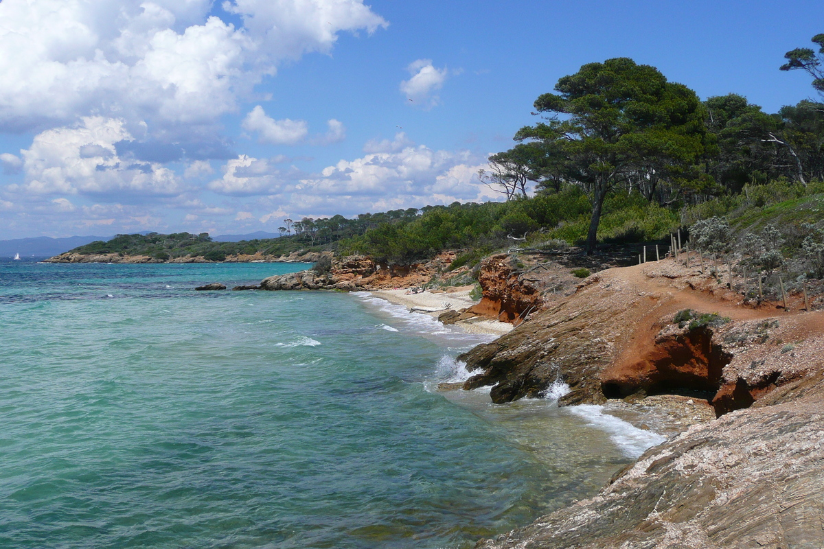 Picture France Porquerolles Island Courtade beach 2008-05 75 - Cost Courtade beach