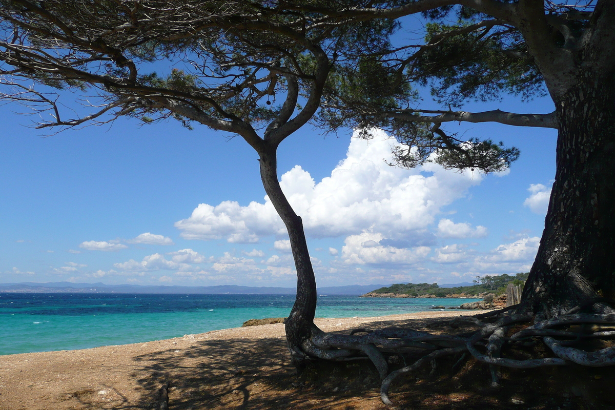 Picture France Porquerolles Island Courtade beach 2008-05 1 - Summer Courtade beach