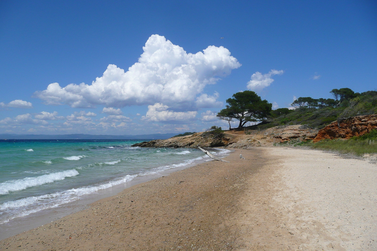 Picture France Porquerolles Island Courtade beach 2008-05 34 - Room Courtade beach