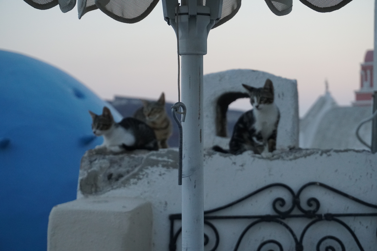 Picture Greece Santorini Oia cave house 2016-07 22 - Sunrise Oia cave house