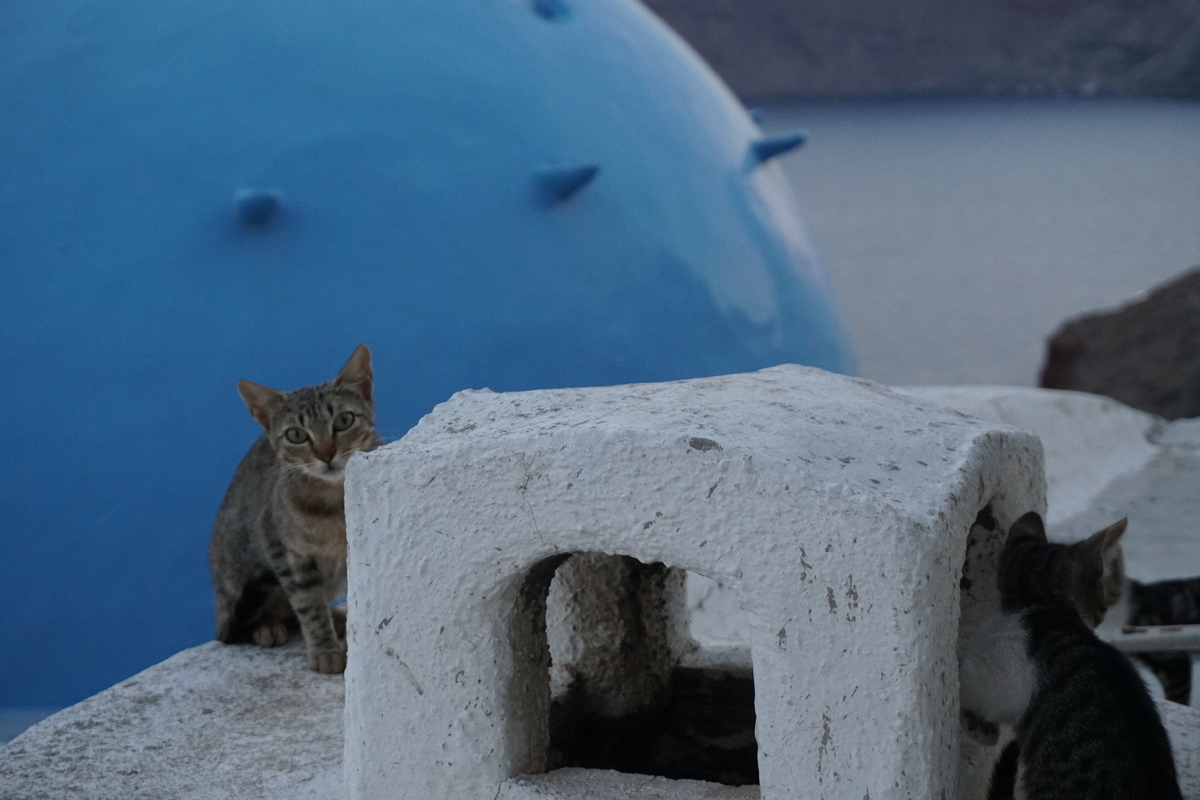 Picture Greece Santorini Oia cave house 2016-07 17 - Streets Oia cave house