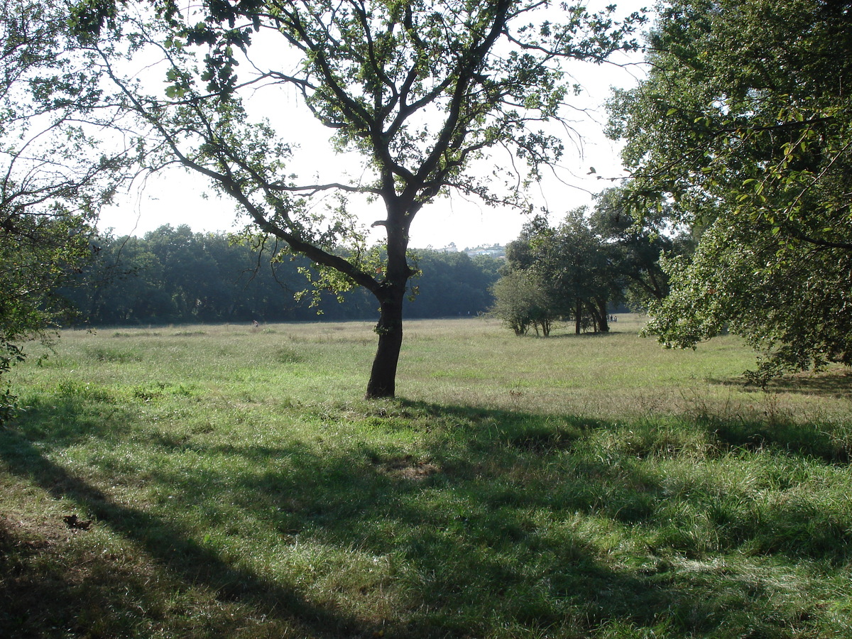 Picture France Villeneuve Loubet Parc de Vaugrenier 2006-09 2 - Cost Parc de Vaugrenier