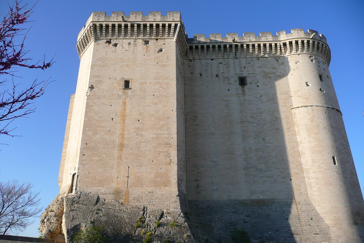 Picture France Tarascon Tarascon Castle 2008-04 140 - Rental Tarascon Castle