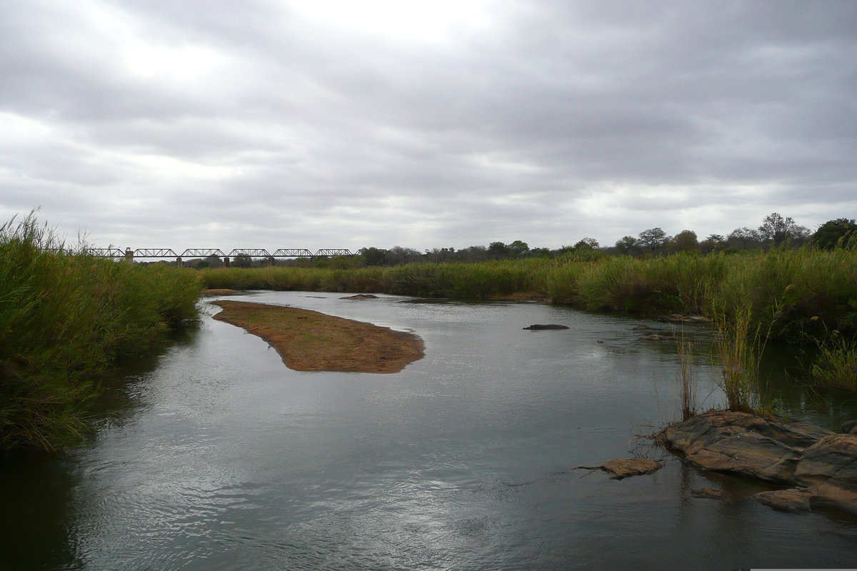 Picture South Africa Kruger National Park Sable River 2008-09 27 - Hotels Sable River