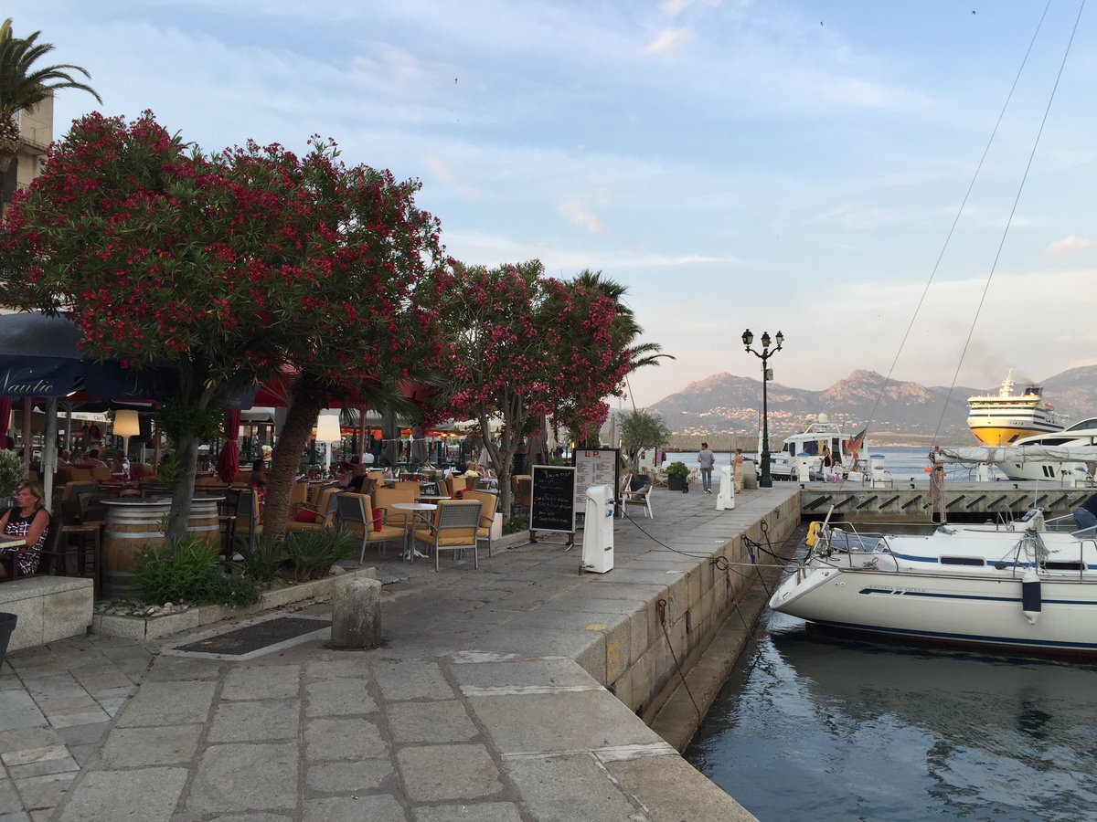 Picture France Corsica Calvi 2015-05 45 - City Sight Calvi