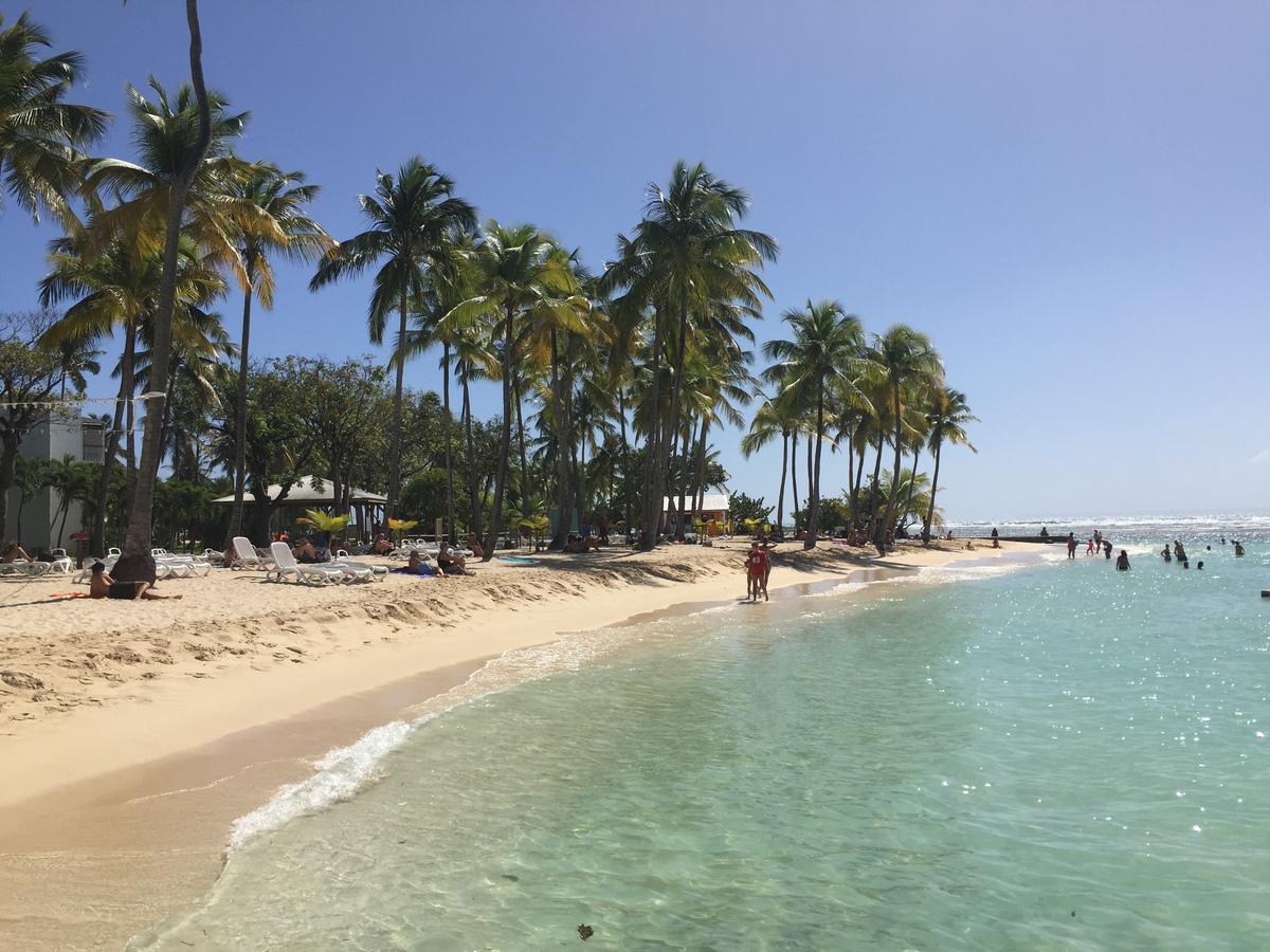 Picture Guadeloupe La Caravelle Beach 2021-02 86 - Saving La Caravelle Beach