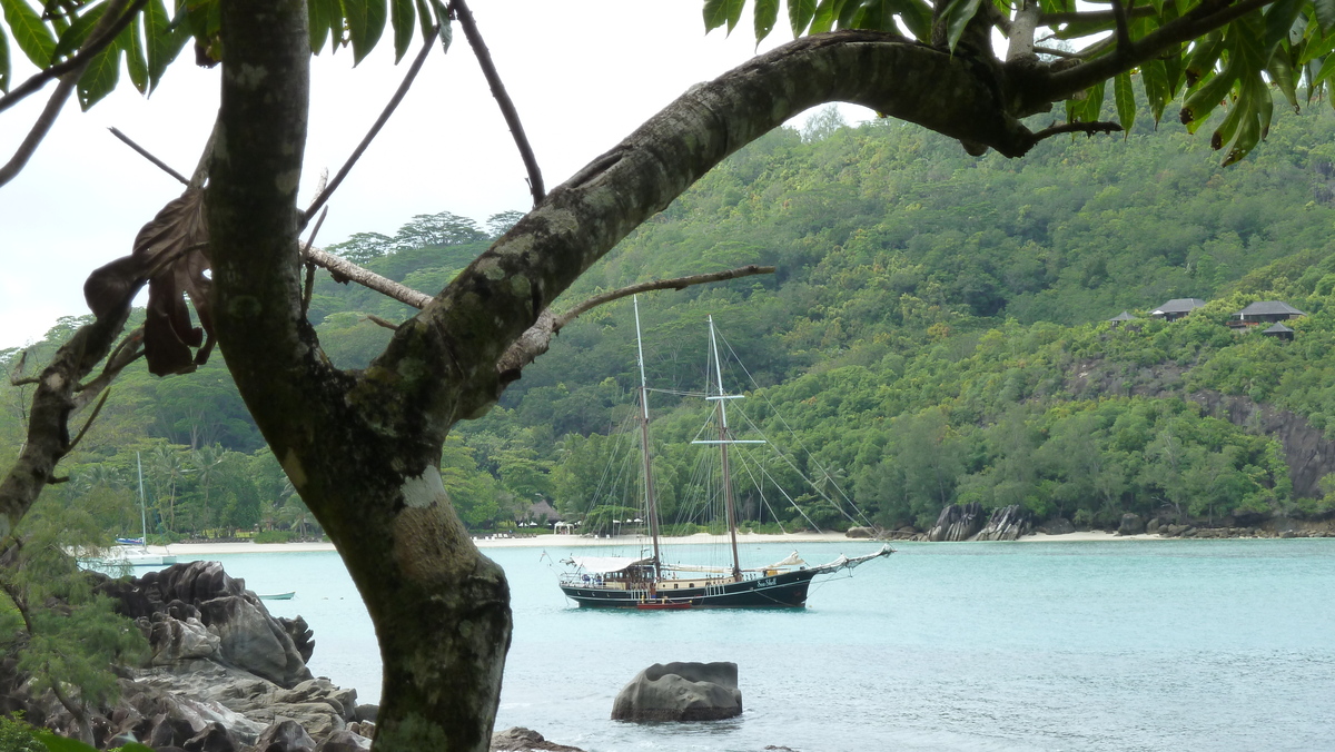 Picture Seychelles Mahe 2011-10 203 - Summer Mahe