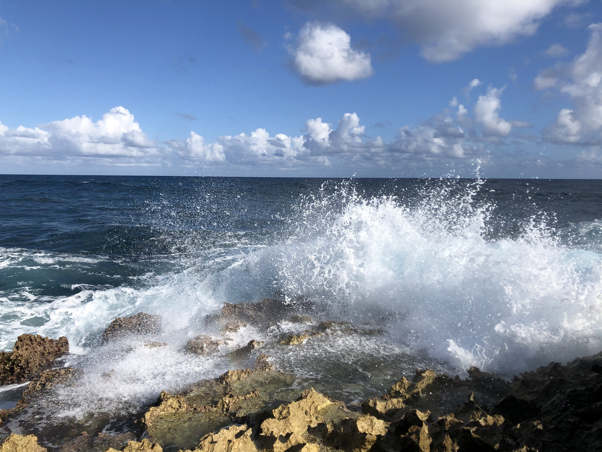 Picture Guadeloupe Castle Point 2021-02 299 - Price Castle Point