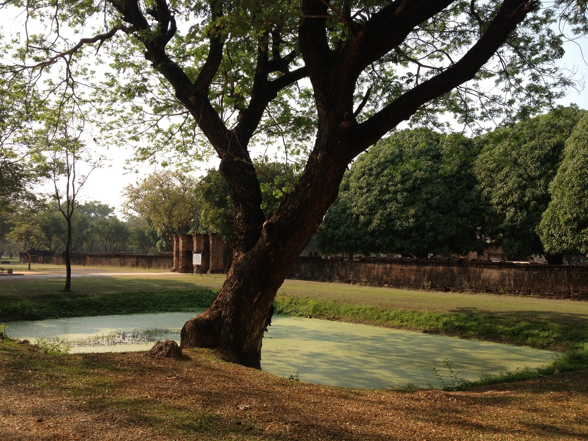 Picture Thailand Sukhothai 2014-02 29 - Resorts Sukhothai