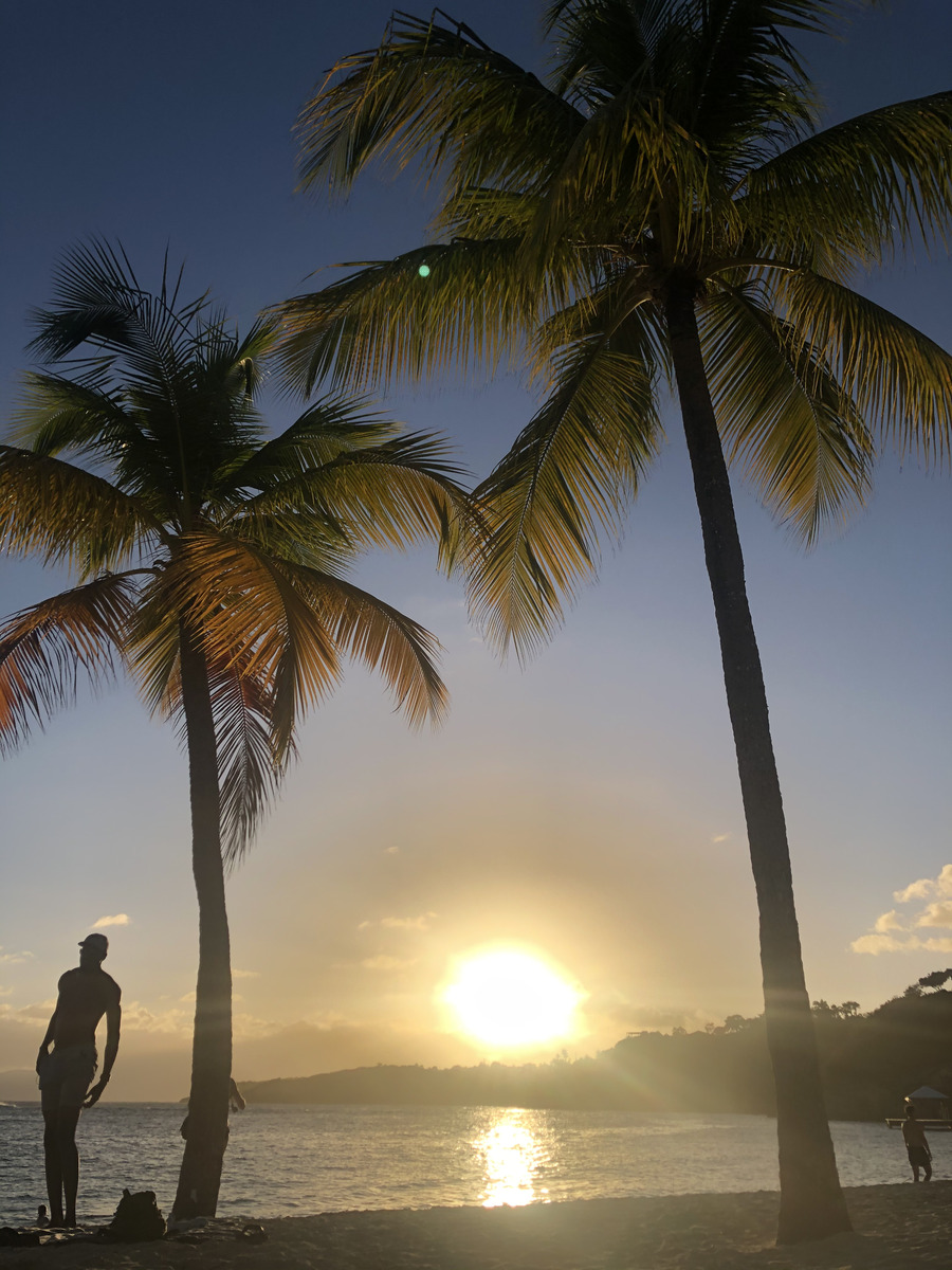 Picture Guadeloupe La Caravelle Beach 2021-02 91 - Rooms La Caravelle Beach