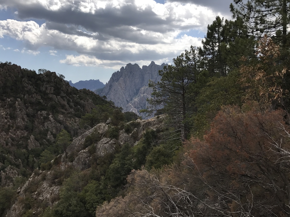 Picture France Corsica Cascades de Purcaraccia 2017-09 105 - Spring Cascades de Purcaraccia