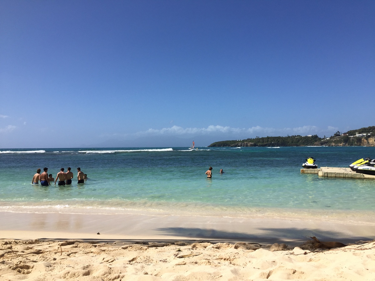 Picture Guadeloupe La Caravelle Beach 2021-02 85 - Spring La Caravelle Beach