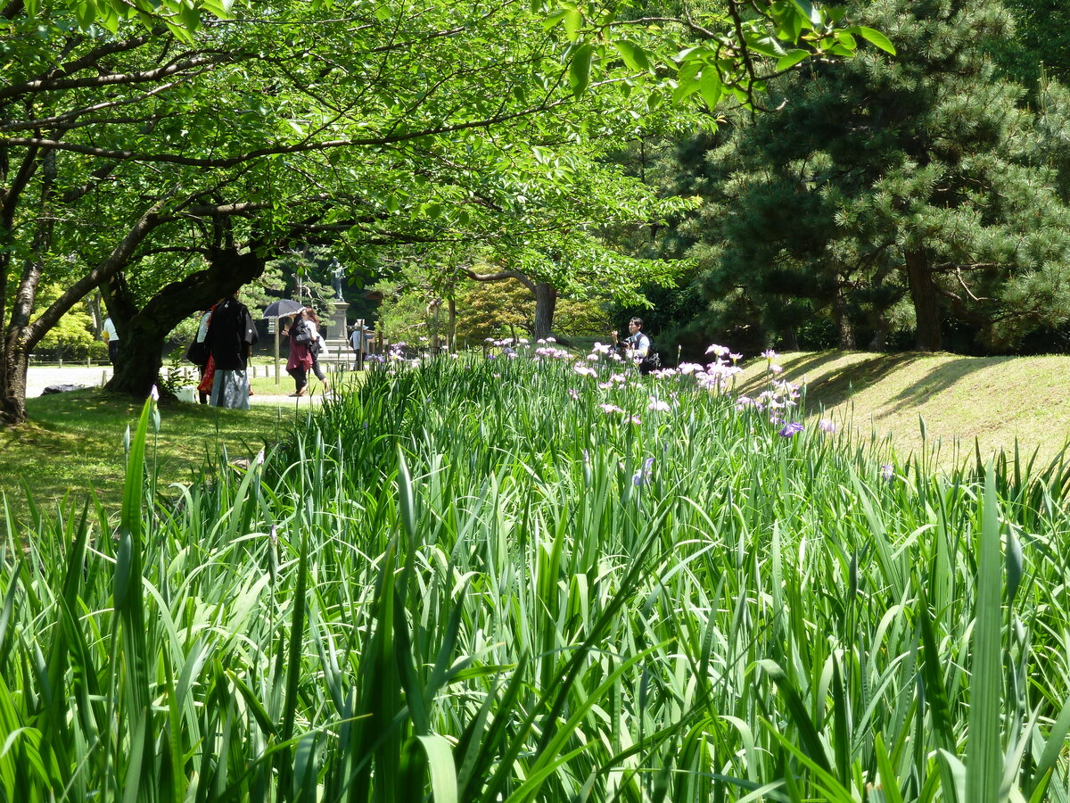 Picture Japan Tokyo Hama rikyu Gardens 2010-06 110 - Rooms Hama rikyu Gardens