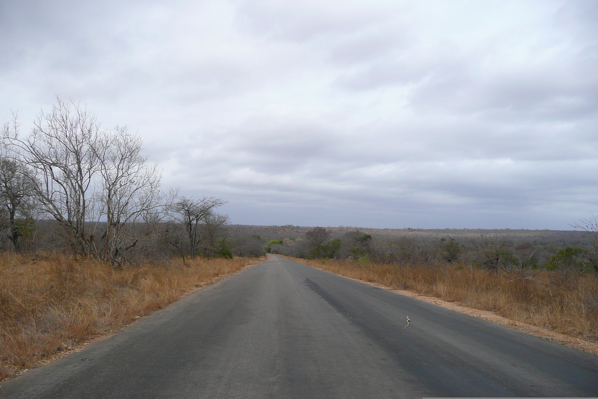 Picture South Africa Kruger National Park 2008-09 180 - Transport Kruger National Park