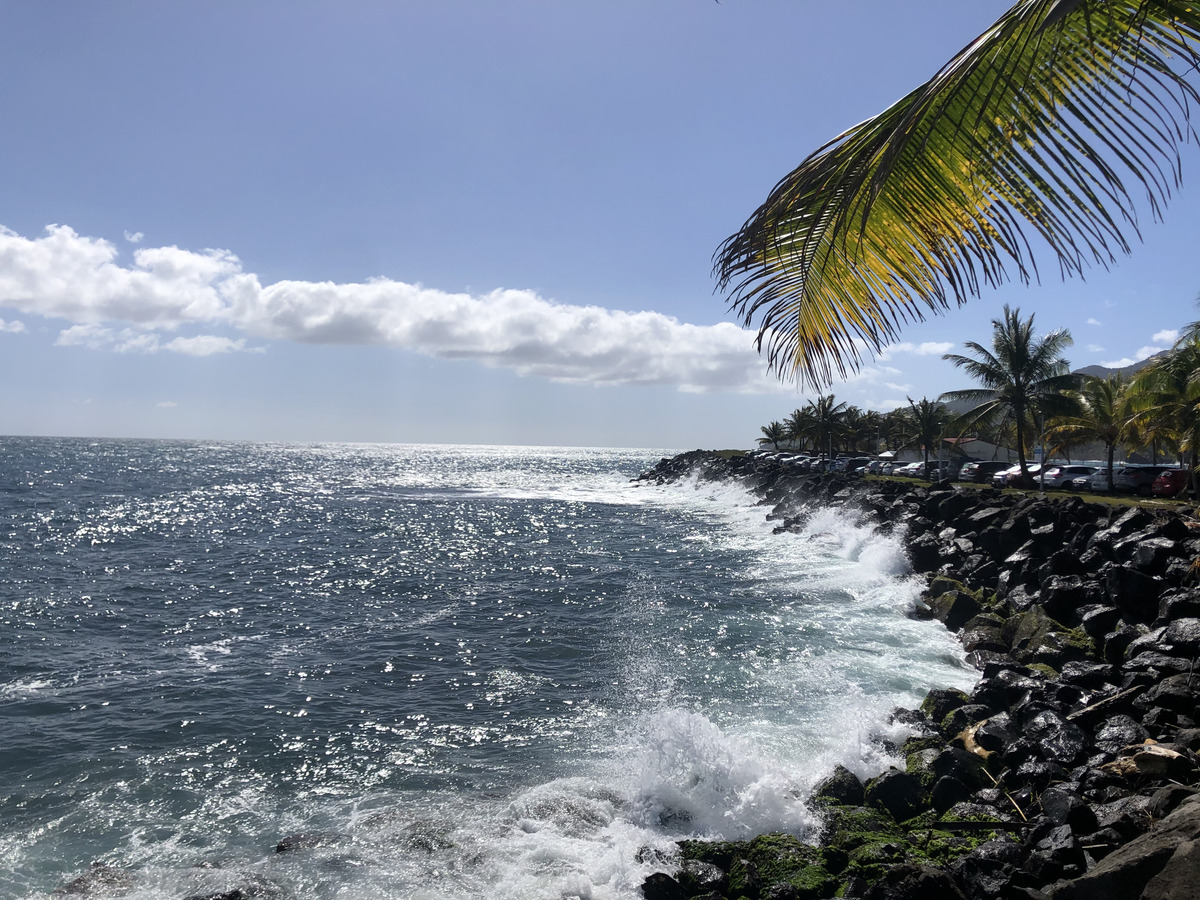 Picture Guadeloupe Trois Rivieres 2021-02 5 - Hotel Pool Trois Rivieres