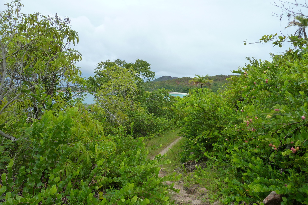 Picture Seychelles Anse Lazio 2011-10 129 - Lakes Anse Lazio