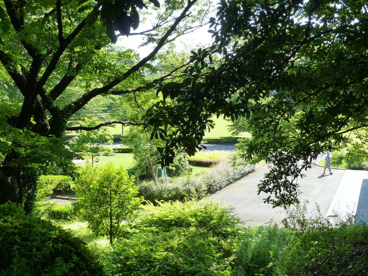 Picture Japan Tokyo Imperial Palace 2010-06 17 - Waterfall Imperial Palace