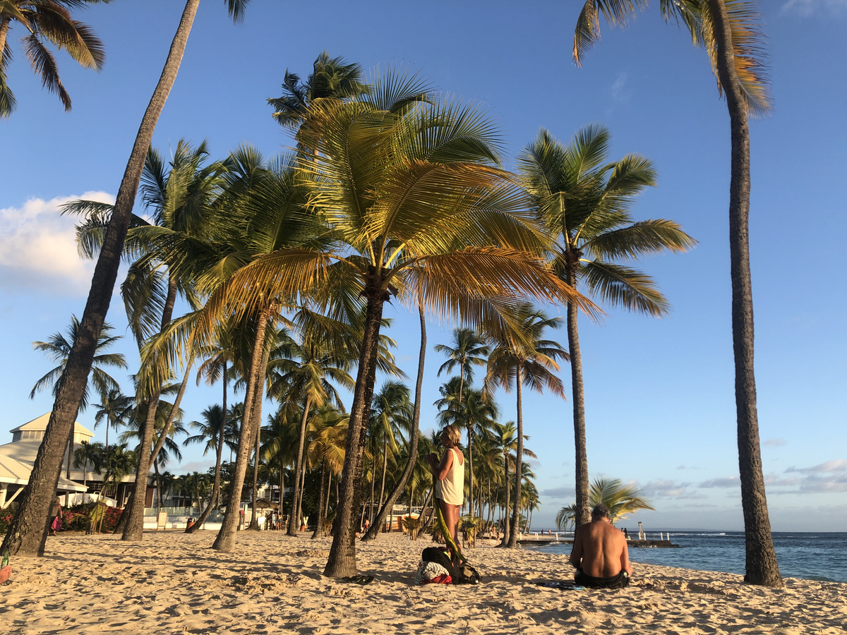 Picture Guadeloupe La Caravelle Beach 2021-02 148 - Transport La Caravelle Beach